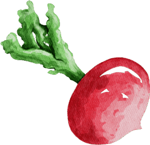 organic-farming-illustrations-06